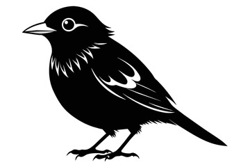 Broadbill silhouette vector style