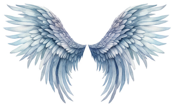 PNG Angel creativity archangel feather