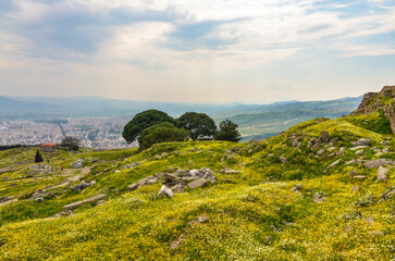 ruins of Pergamon Acropolis covered with spring flowers (Bergama, Izmir province, Turkey)