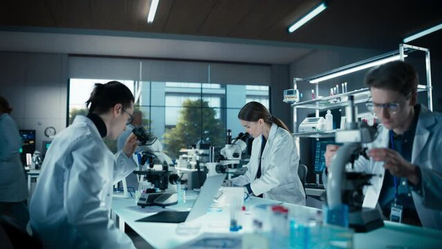 Young Team of Medical Researchers Sitting Behind a Table, Using Microscopes for Medical Pharmaceutical Research and Treatment Development. Specialists Working in a Modern Laboratory