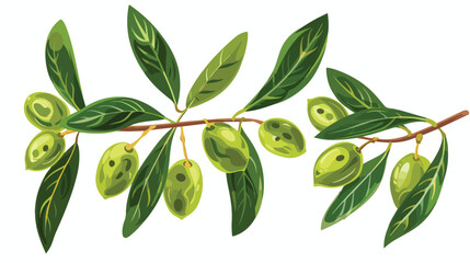 Ripe fruits on a branch. Flat image of green olives white - obrazy, fototapety, plakaty