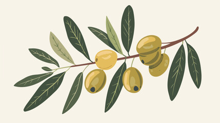 Ripe fruits on a branch. Flat image of green olives white