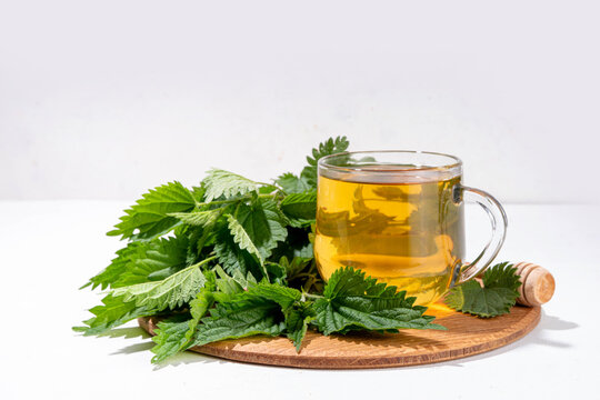 Nettle Tea hot plant drink in transparent glass cup. Organic natural herbal tea without caffeine, made with organic raw nettle leaves. Alternative herbal medicine. Stinging nettles, urtica.