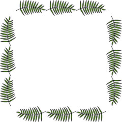 Cute square frame with green branches on white background. Vector image.