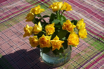 Yellow roses in a vase on a blue woven blanket