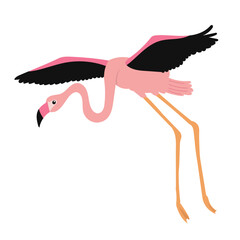 Naklejka premium pink flamingo flying on a white background vector