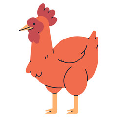 Chicken or hen vector cartoon farm bird illustration isolated on a white background.