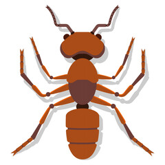 Ant vector cartoon illustration isolated on a white background.