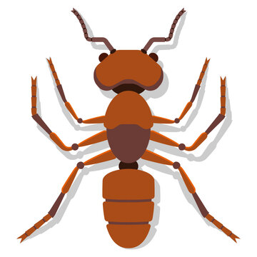 Ant vector cartoon illustration isolated on a white background.