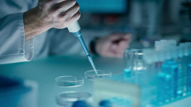 Close Up of a Scientist Pouring Clear Liquid into Glass Dishes with a Micro Pipette, Conducting Scientific Experiment in Laboratory Setting. Chemistry Concept for Medical Research and Analysis