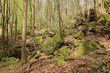 Blick auf das Felsenmeer in Hemer im Sauerland