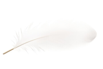 Ethereal Dance of a White Feather. On a White or Clear Surface PNG Transparent Background.