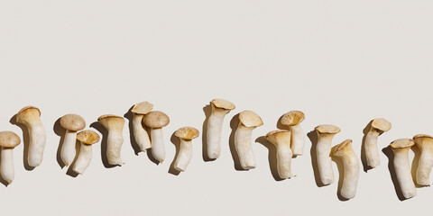 Pleurotus eryngii white mushrooms at sunlight, edible fungus as minimal trend pattern on beige, copy space, top view monochrome still life flat lay from mushroom, health eating, vegan food
