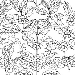 Coffee branch pattern with leaves and beans. Botanical ornament. Cafe food illustrations - 785305536