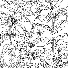 Coffee branch pattern with leaves and beans. Botanical ornament. Cafe food illustrations - 785305541