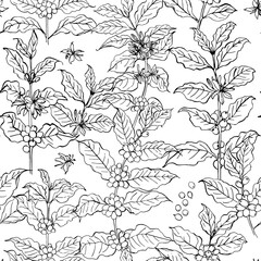 Coffee branch pattern with leaves and beans. Botanical ornament. Cafe food illustrations - 785305568