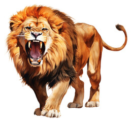 Obraz premium PNG Roaring lion mammal animal