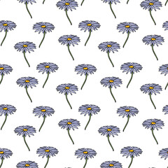Seamless pattern with fantastic aster dumosus on white background. Vector image.