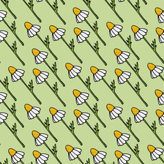 Seamless pattern with fantastic chamomile on light green background. Vector image.