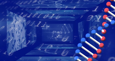 Dna structure spinning over screens on medical data processing against binary coding