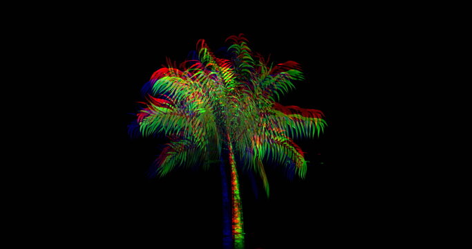 Digital image of a colorful palm tree moving against a black backgroud