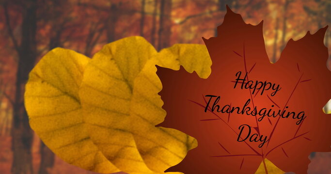 Fototapeta Image of happy thanksgiving day text over red and orange autumn leaves in park