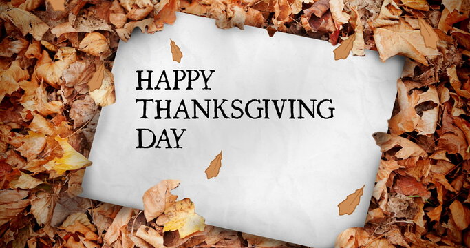 Fototapeta Image of happy thanksgiving day text over card with autumn leaves