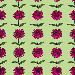 Seamless pattern with fantastic pink echinacea on light green background. Vector image.