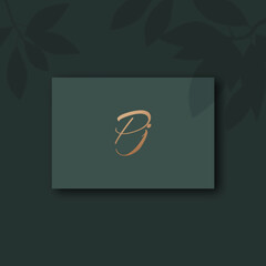 Pj logo design template