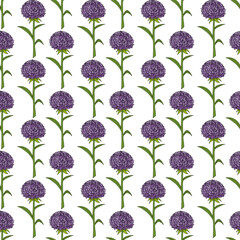Seamless pattern with fantastic violet aster on white background. Vector image.
