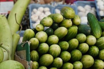photograph of fresh cucumber in vegetable market