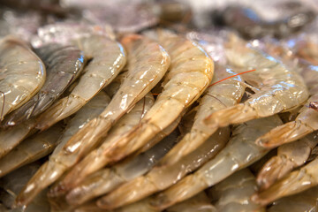 View of the raw shrimp on the market