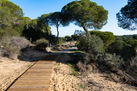 National parc in Spain
