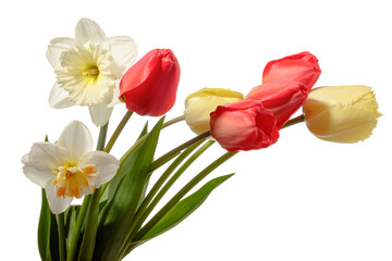 Bouquet of tulip and narcissus flowers isolated on white background - 785316133