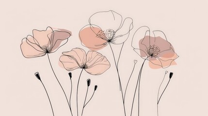 Elegant minimalist flower illustration, one line art style