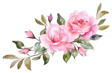 Fototapeta premium PNG Rose pattern flower plant