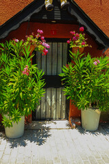 Gates and wickets, iron bars and forged patterns on the doors. City views on the streets, public...