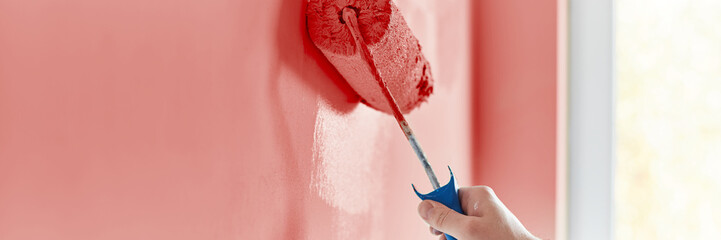 Close-up on the hand of a man who is painting a wall hot pink with a paint roller. Painting...