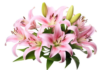 Naklejka premium Ephemeral Blooms: Pink Floral Beauty. On a White or Clear Surface PNG Transparent Background.