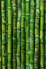Obraz premium a seamless bamboo texture background