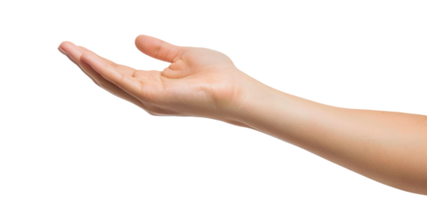 young female flat hand holding something, isolated on white or transparent png
