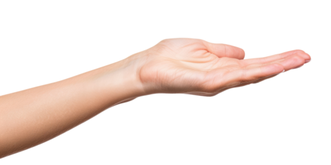 young female flat hand holding something, isolated on white or transparent png