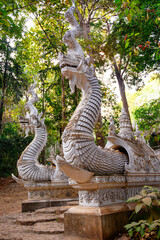 Naga Stairway at Wat Luang Khun Win old wooden lanna temple in deep forest