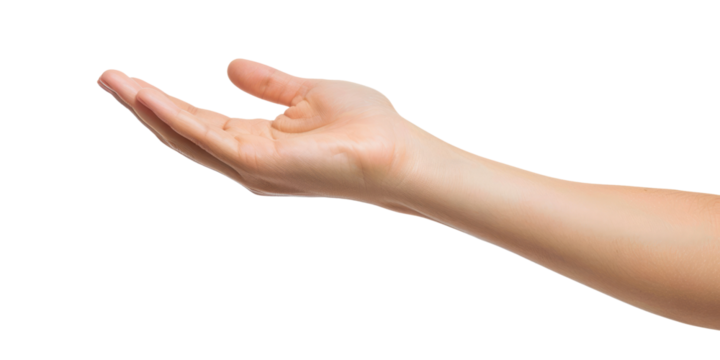young female flat hand holding something, isolated on white or transparent png