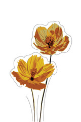 Two beautiful yellow flowers with black elements isolated on white background. Ideal for birthday cards, posters etc.