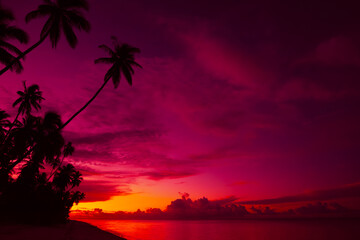 Tropical beach during vivid sunset with calm ocean and coconut palm trees silhouettes and colorful clouds