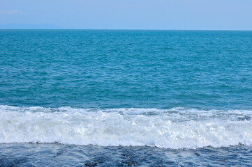 駿河湾の波打ち際