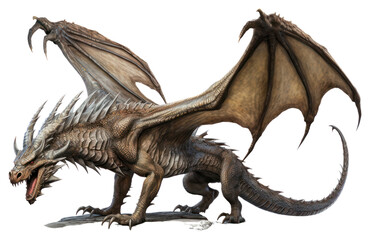 PNG Dinosaur animal dragon extinct. 