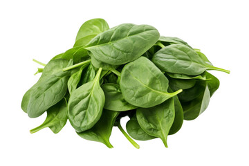 Fototapeta premium Lush Green Spinach Cascade. On a White or Clear Surface PNG Transparent Background.