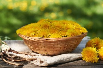 Yellow dandelion flowers in a wicker basket on a table outdoors on a sunny spring day, with whole...